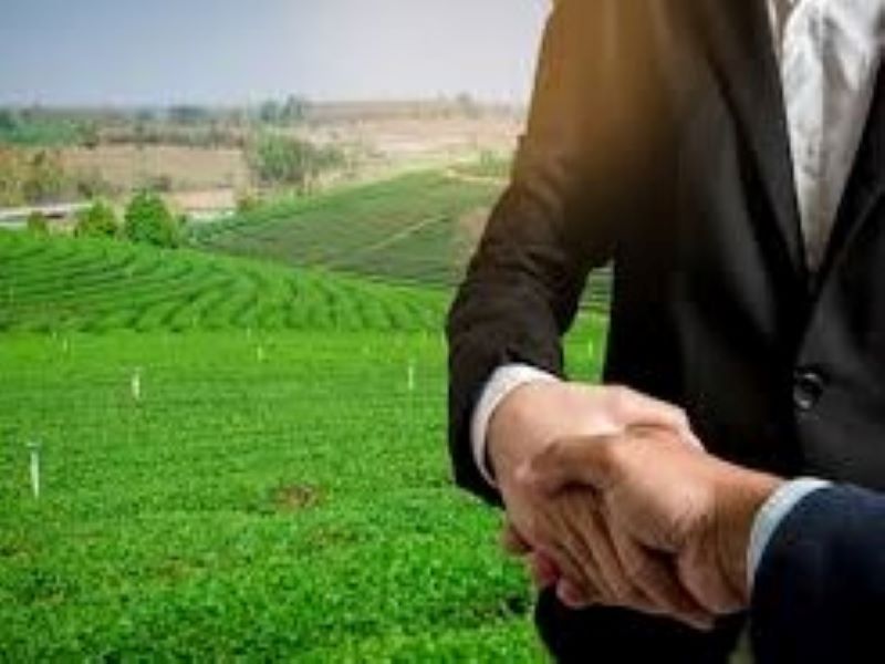 Land purchase